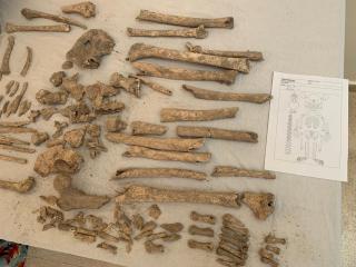 Czech archaeologists in Syria's Tell Al-Shamiya