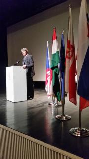 Head of the Representative Office of the Czech Republic 