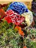 Paper carnations in national colours decorated with morning frost at the grave of Miroslav Drenko