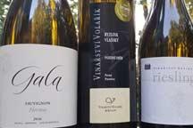 Ahtel Wines and Brilliant Wines Club