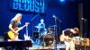 Concert of Jiří Maršíček Trio in Haapsalu