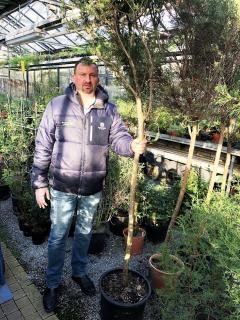 Directeur du Jardin Botanique à Prague Ing. Ladislav Pavlata