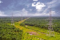 poles-for-high-voltage-power-lines-across-agricultural-gardens
