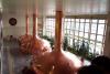 Beer vats at traditional Budweiser Budvar N.C. brewery