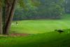 22 - Atmosféra areálu Blair Atholl