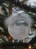 Haag detail_Ornex
