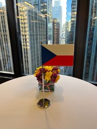 Generální konzulát České republiky