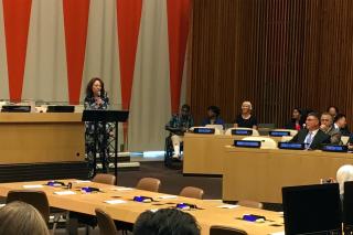 Ambassador Chatardova on investments and partnerships