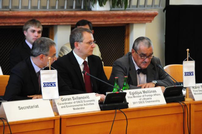 Ministr Karel Schwarzenberg na 19. ekonomickém a enviromentálním fóru OBSE