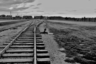 Pietní připomínka obětí terezínského rodinného tábora BIIb v Osvětimi-Birkenau, 8.3.2021