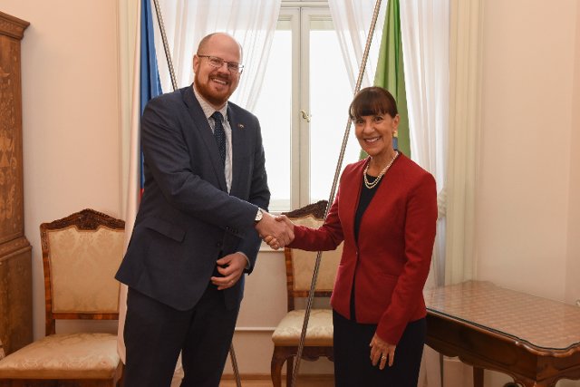 Náměstek Hulicius se setkal s brazilskou náměstkyní ministra pro Evropu a Severní Ameriku