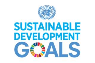 SDG logo