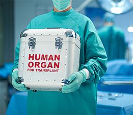 transplantace