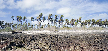 Kiribati palmy na pláži