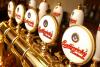 Budějovický Budvar
