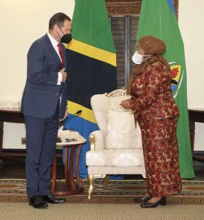 President Samia Suluhu Hassan and Ambassador Martin Klepetko