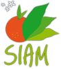 Logo siam