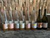 Moravia Wine Tour