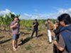 Moravia Wine Tour