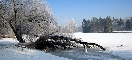 Lednické rybníky v zimě
