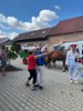 Moravia Wine Tour
