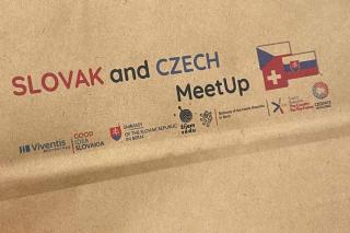 Druhý ročník konference českých a slovenských vědců ve Švýcarsku