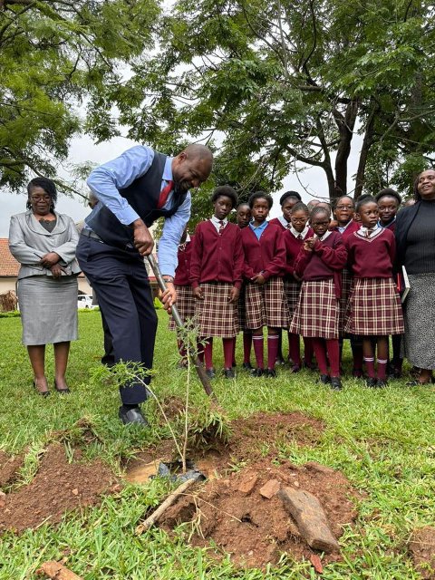 International Day of Forests