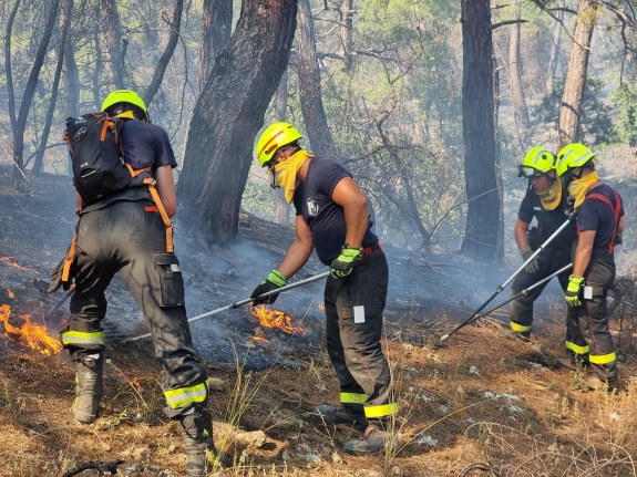 Οι Τσέχοι πυροσβέστες στο δάσος της Δαδιάς
