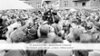Velvyslanec České republiky přednášel na Filozofické fakultě v Lublani k 35. výročí Sametové revoluce a založení Československa