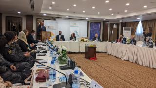 ICMPD Workshop