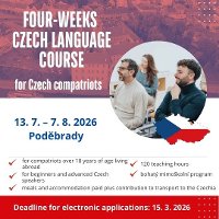 four weeks language course 
