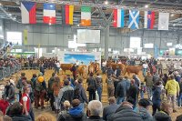 AGRISHOW 2026_realizovani proped