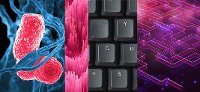Datlowe