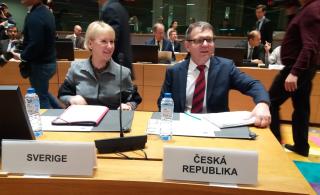 Ministr Zaorálek se švédskou resortní kolegyní