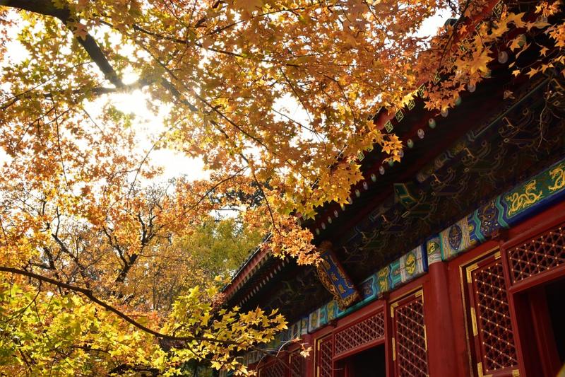 china_autumn