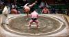 Zápasy sumo