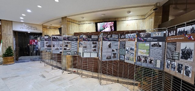 Exposition de photographies « Les Anges en Vert » 