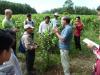 MENDELU foresters in Cambodia