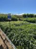 agro6