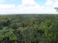 Belice
