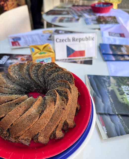 a Homemade Czech Bundt Cake