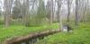 City park