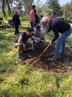 Tree-planting ceremony