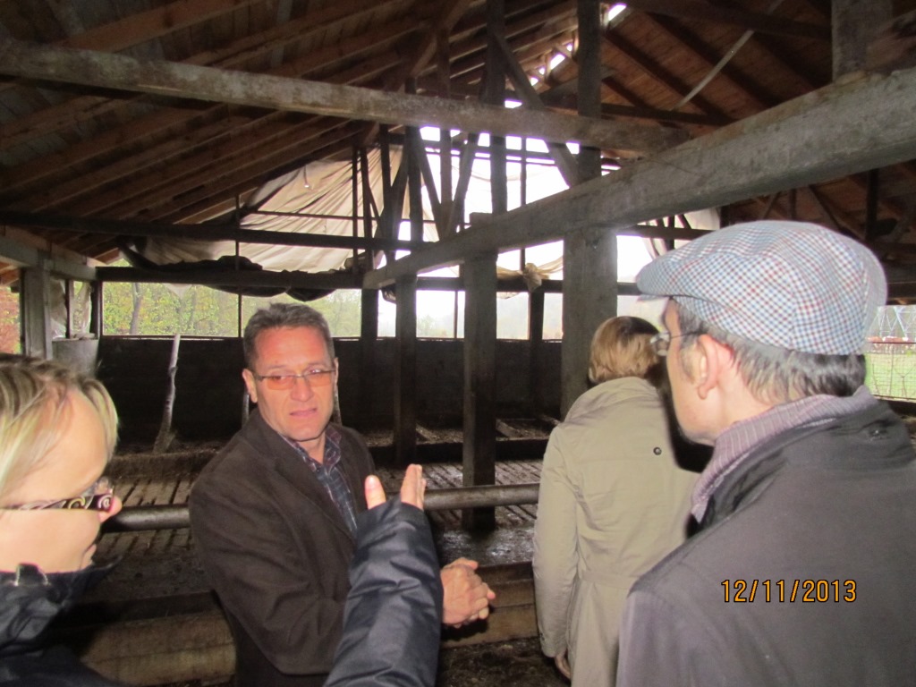 zvýšení výroby mléka v severovýchodní Bosně