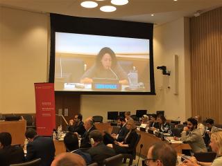 Human Rights Council Event