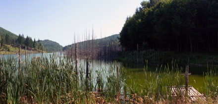 Rumunsko jezero Cuejdel