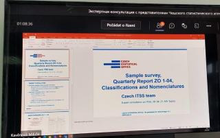  Экспертная консультация касалась чешского опыта сбора, обработки и контроля данных статистики торговли услуг 