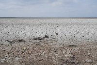 Česko podporuje odstraňování válečných ekologických katastrof na Ukrajině. Ve spolupráci s programem UNEP se zaměřilo na Kachovskou přehradu