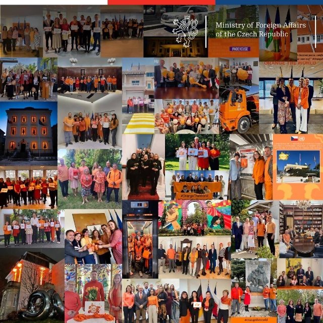 Orange the World