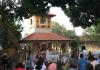 IMG_4916m